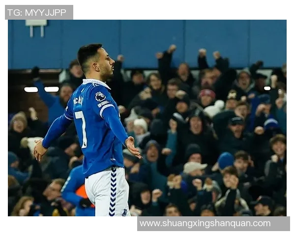 埃佛顿主场迎战纽卡斯力争三分冲击英超排名提升